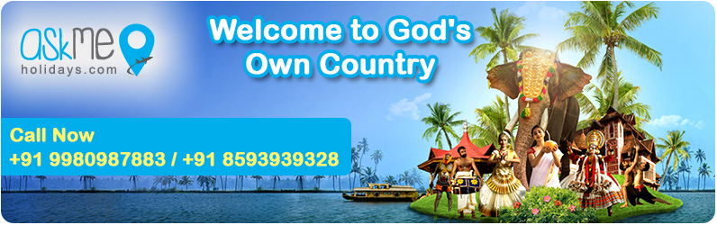 Kerala Tour Packages from Hyderabad photo